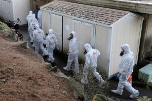 FILE - Workers from a Servpro disaster recovery team wearing protective suits and respirators enter the Life Care Center in Kirkland, Wash., to begin cleaning and disinfecting the facility, March 11, 2020, near Seattle. The nursing home was at the center of the coronavirus outbreak in Washington state. (AP Photo/Ted S. Warren, File)