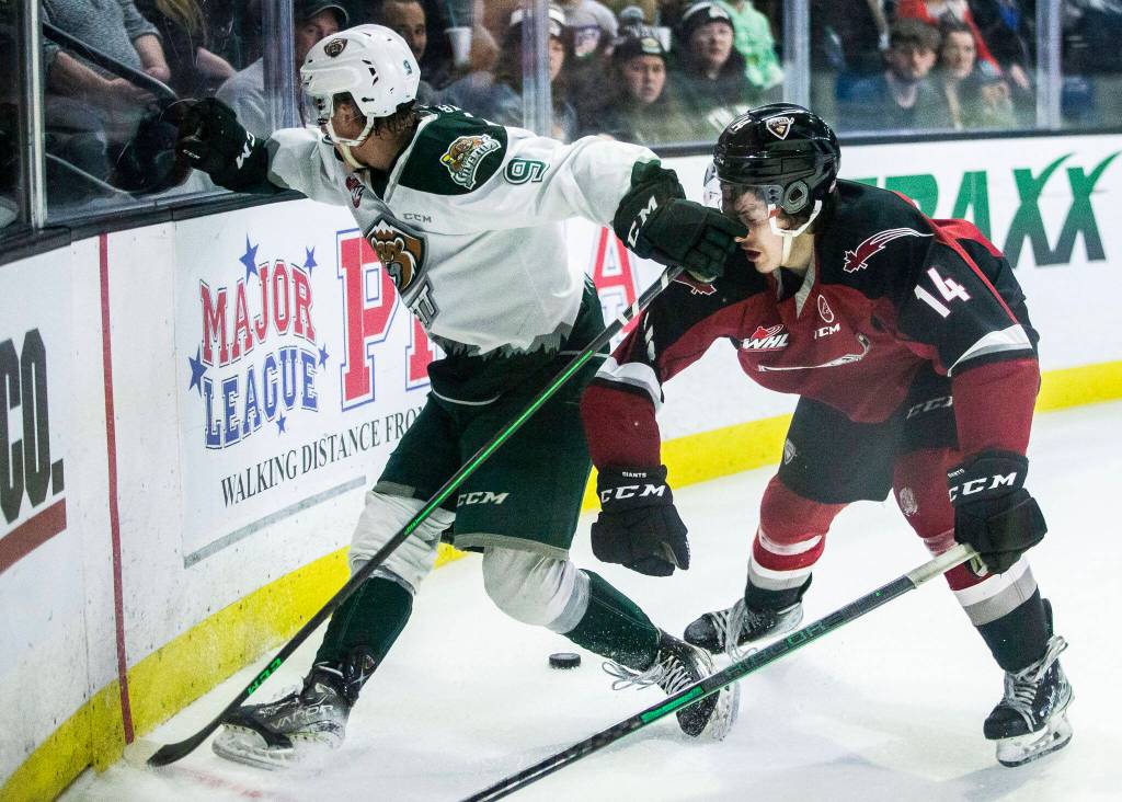 Silvertips Ben Hemmerling battles Giants Ethan Semeniuk for the puck during the game against the Giants on Saturday, April 30, 2022 in Everett, Washington. (Olivia Vanni / The Herald)