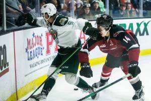 Silvertips’ Ben Hemmerling battles Giants’ Ethan Semeniuk for the puck during the game against the Giants on Saturday, April 30, 2022 in Everett, Washington. (Olivia Vanni / The Herald)