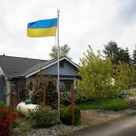 A Ukranian flag flies on the flagpole in front of Melissa Batsons home in Monroe. Batson said she rose the flag in support of Ukraine, and will continue flying it until Memorial Day, when she plans to fly the American flag. (Ryan Berry / The Herald)