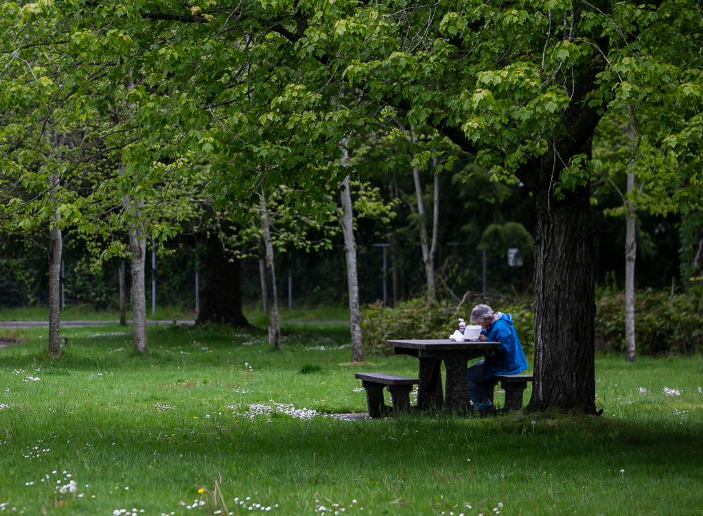 A person eats lunch at a picnic table at the Smokey Point Rest Area on Tuesday in Arlington. (Olivia Vanni / The Herald)