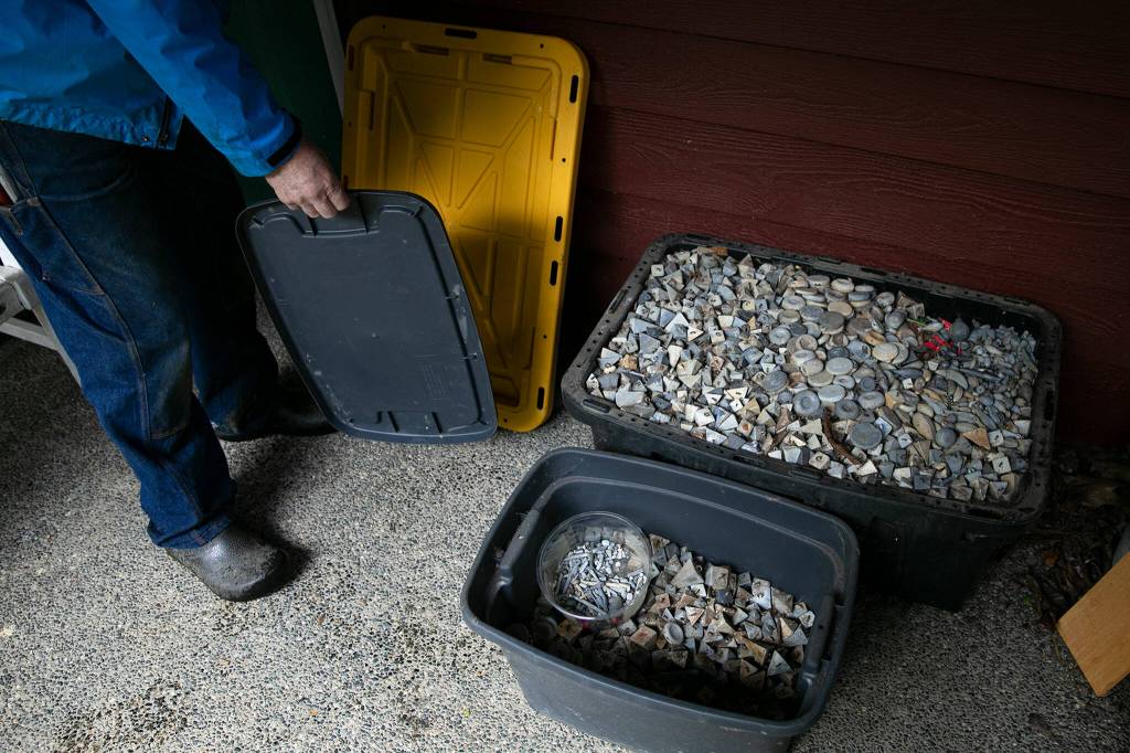 Doug Ewing displays two totes filled with about 3,000 pounds of lead sinkers he has plucked from the bottom of the Snohomish River. (Ryan Berry / The Herald)