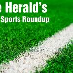 White line on Green grass sport field for sport concept