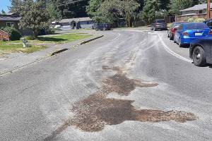 Hydraulic fluid from a Waste Management garbage truck damaged roads in Mountlake Terrace June 23, 2021. The company hired crews to put absorbent material on the fluid and swept it, but several areas need to be repaired this year. (Mountlake Terrace)
