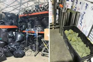 Trash bags (left) contained bulk marijuana that prosecutors said show the scale of an unlicensed marijuana operation in Monroe. (U.S. Attorney) 20220601