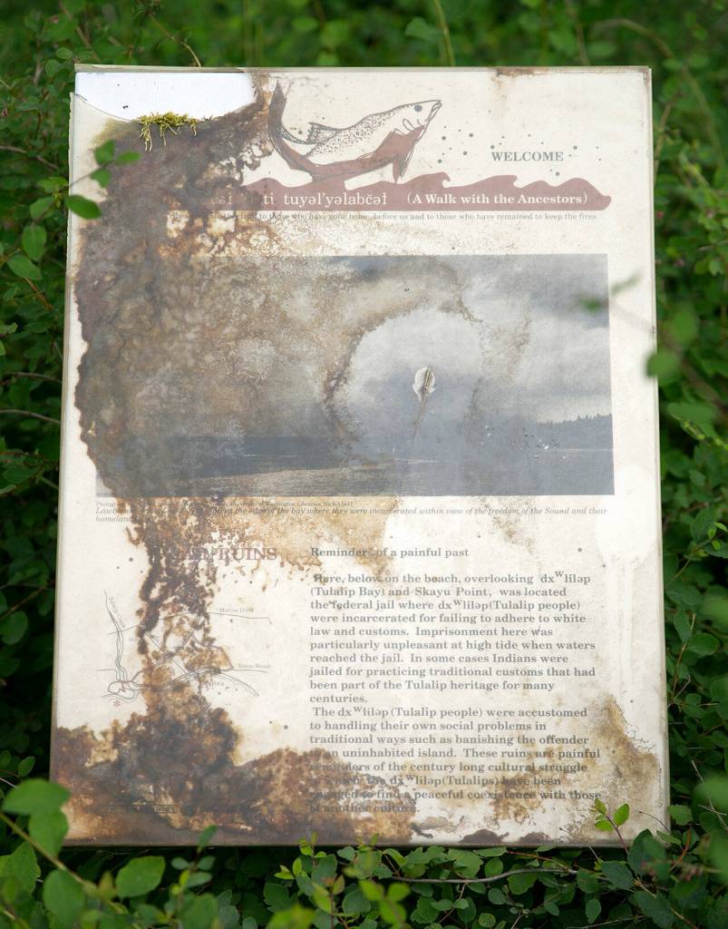 A sign describing the history of an old jail along the beach is displayed outside on June 13, behind the Tulalip Montessori School in Tulalip. (Ryan Berry / The Herald)