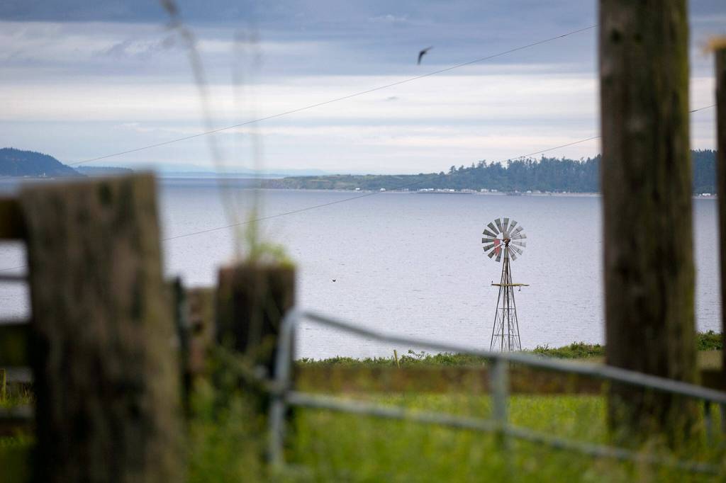 A windmill from the farm spins in the breeze as clouds roll in from the west on June 10 at the site of the Keystone Preserve near Coupeville. (Ryan Berry / The Herald)