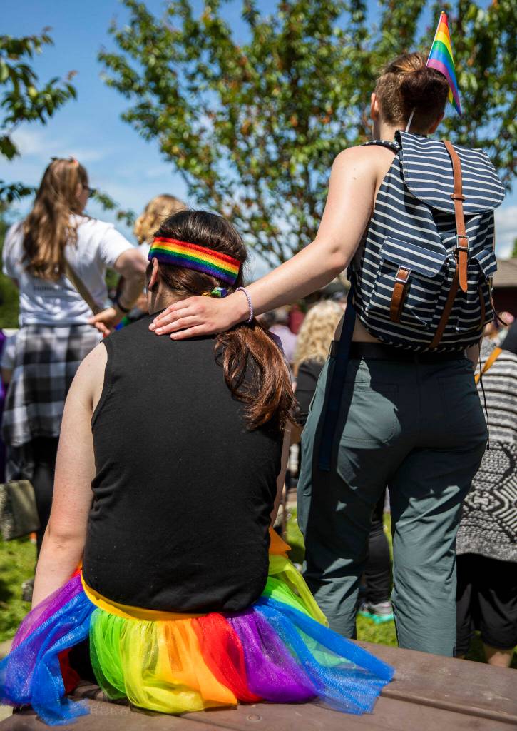 People watch drag performances at Arlingtons first-ever Pride celebration Saturday at Legion Memorial Park. (Olivia Vanni / The Herald)