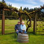 Greg and Elizabeth Osenbach sit before their empty vineyard. The last harvest of the year has happened for Whidbey Island Winery, which will be ceasing production and retail operations this year. (David Welton)