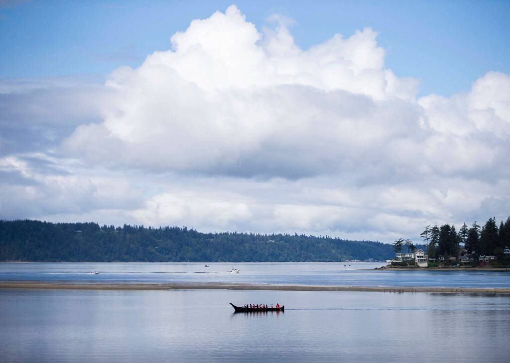A canoe carrying a salmon makes its way to shore of Tulalip Bay for the Salmon Ceremony on Saturday in Tulalip. (Olivia Vanni / The Herald)
