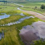 Parts of a field along the Snohomish River are flooded with water on Thursday, June 16, 2022 in Everett, Washington. (Olivia Vanni / The Herald)