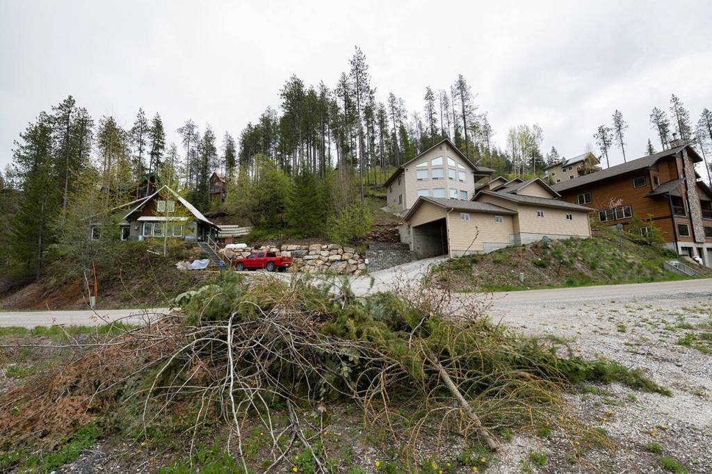 A view of a slash pile on the side of the road ready for chipping at the Flowery Trail neighborhood. - outside Chewelah, Wash. (Erick Doxey / InvestigateWest)