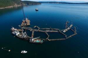 FILE - In this photo provided by the Washington State Department of Natural Resources, a crane and boats are anchored next to a collapsed "net pen" used by Cooke Aquaculture Pacific to farm Atlantic Salmon near Cypress Island in Washington state on Aug. 28, 2017, after a failure of the nets allowed tens of thousands of the nonnative fish to escape. A Washington state jury on Wednesday, June 22, 2022, awarded the Lummi Indian tribe $595,000 over the 2017 collapse of the net pen where Atlantic salmon were being raised, an event that elicited fears of damage to wild salmon runs and prompted the Legislature to ban the farming of the nonnative fish. (David Bergvall/Washington State Department of Natural Resources via AP, File)