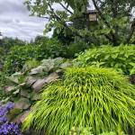 Celebrate diversity and inclusivity in your garden, Steve Smith says. (Sunnyside Nursery)