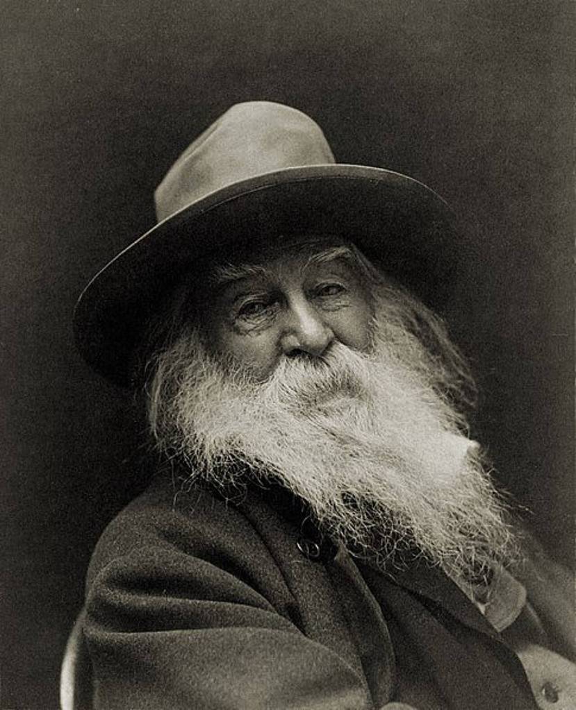 Walt Whitman (George Collins Cox)