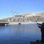 A man fishes for salmon in the Snake River above the Lower Granite Dam in Washington state in October, 2016. A draft report finds that removing the four lower Snake River dams offers the best chance to improve the number of salmon returning to the river. (Jesse Tinsley /The Spokesman-Review via AP, File)