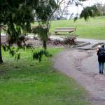 A drainage path at Thornton A. Sullivan Park on Silver Lake Monday afternoon in Everett, Washington on March 21, 2022. (Kevin Clark / The Herald)