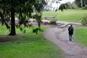 A drainage path at Thornton A. Sullivan Park on Silver Lake Monday afternoon in Everett, Washington on March 21, 2022. (Kevin Clark / The Herald)