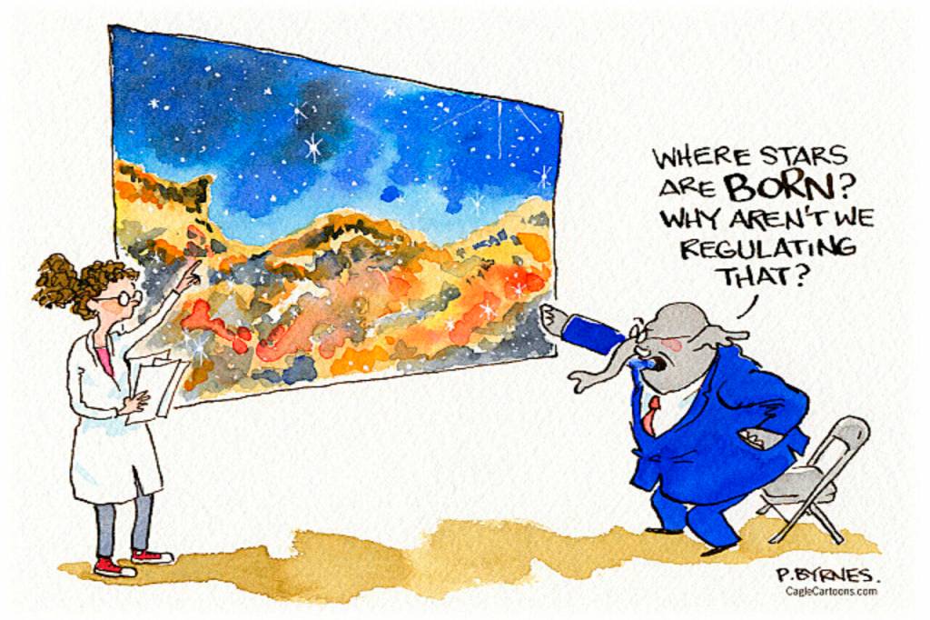 toon