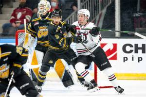 Defenseman Jacob Hoffrogge (3) plays for the Brandon Wheat Kings during a game against the Red Deer Rebels. The Everett Silvertips acquired Hoffrogge in a trade with the Wheat Kings on Friday. (Brandon Wheat Kings)