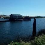 A tugboat pushes a barge carrying a home down Ebey Slough in Marysville on Thursday. (Bill Liles)