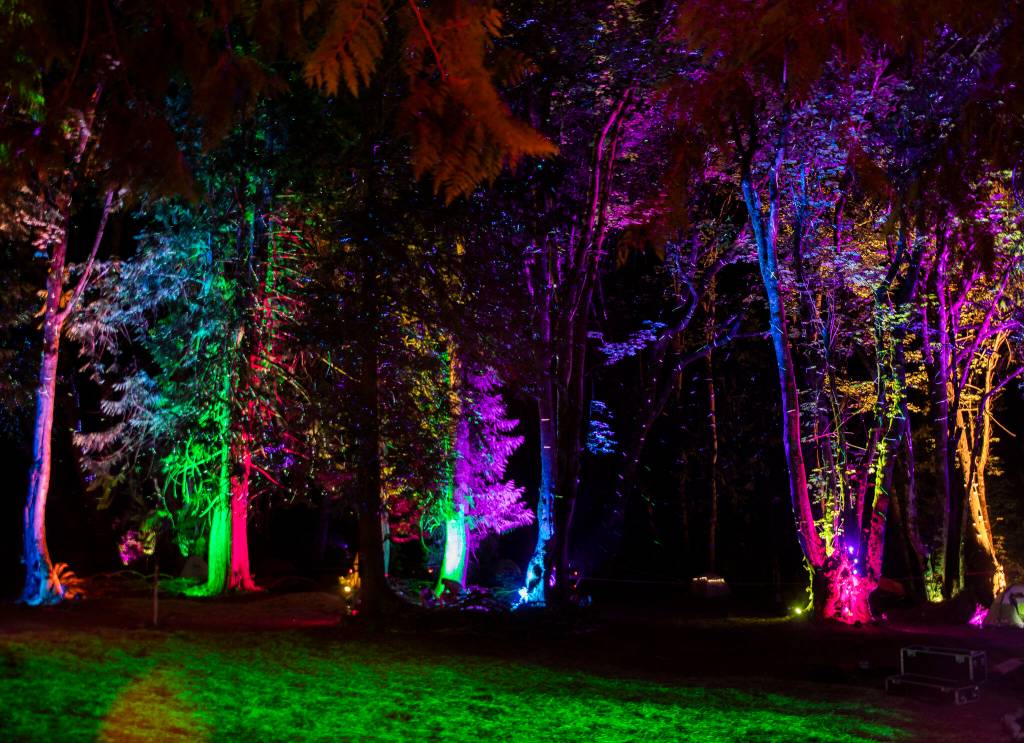 Trees are lit up with multi-colored lights next to the Forest Stage at Summer Meltdown on Thursday, in Snohomish. (Olivia Vanni / The Herald)
