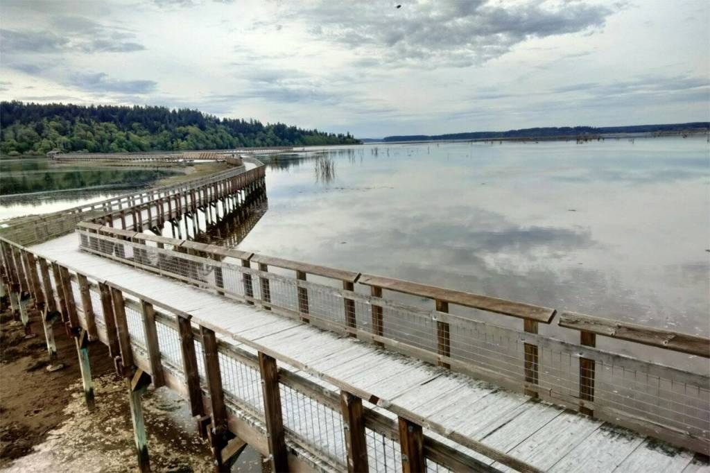This mile-long boardwalk reaches across a rich, fascinating tidal estuary at Billy Frank Jr. Nisqually National Wildlife Refuge. (Scott Hewitt/The Columbian)