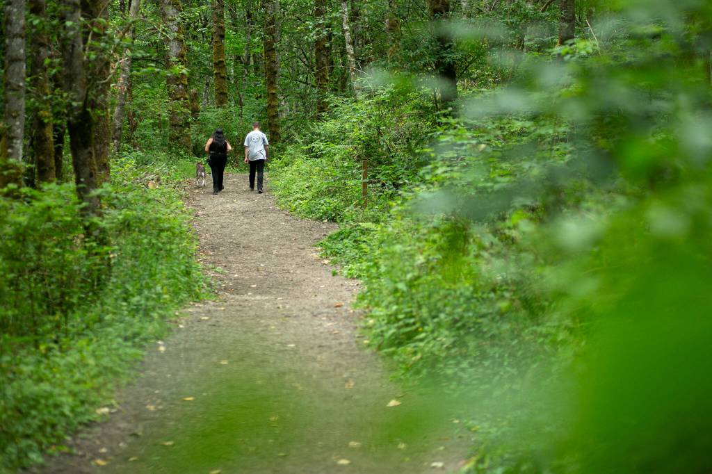 Two hikers and their dog walk along the Beaver Lake Trail in Lord Hill Regional Park. (Ryan Berry / The Herald)