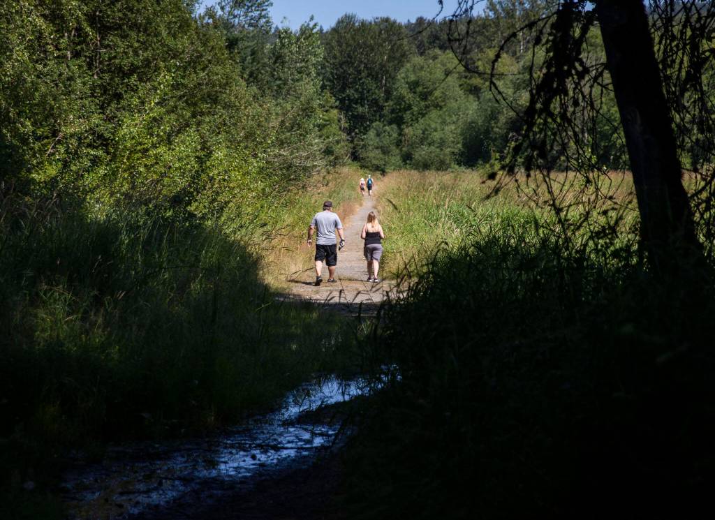 Hikers follow the Shadow Lake and Snohomish River Trail in Lord Hill regional park. (Olivia Vanni / The Herald)