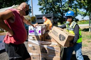 Farmer Frog employees sort through a pallet of lettuce at their new location on Wednesday, Aug. 3, 2022 in Snohomish, Washington. (Olivia Vanni / The Herald)