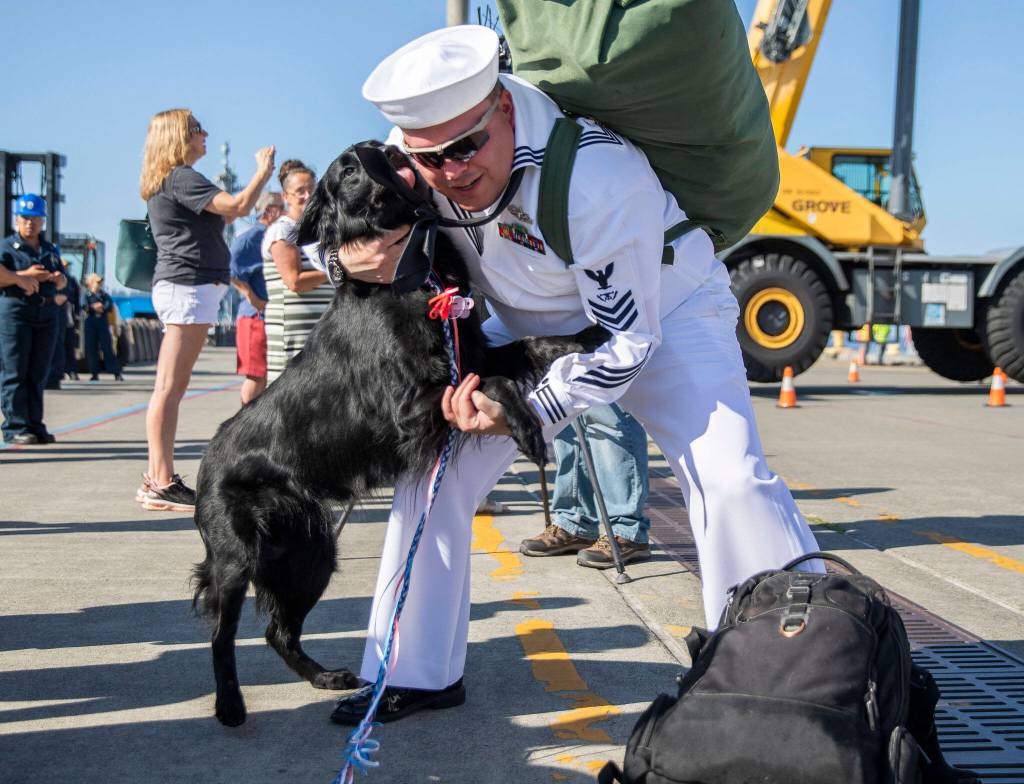 Richard Philmlee is greeted by his dog Deckard at Naval Station Everett on Thursday, in Everett. (Olivia Vanni / The Herald)