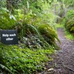 Positive messages can be found throughout the property Thursday, May 5, 2022, at Earth Sanctuary in Clinton, Washington. (Ryan Berry / The Herald)