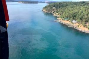 The Saturday, Aug. 13, 2022, aerial photo released by the U.S. Coast Guard shows a diesel spill off the west coast of Washington state's San Juan Island after a 49-foot (15-meter) fishing vessel sank with an estimated 2,600 gallons (9,854 liters) of fuel on board. A Good Samaritan rescued all five crew members on the Aleutian Isle as the vessel was sinking near Sunset Point, the Coast Guard's 13th District Pacific Northwest district in Seattle and KIRO-TV reported. (U.S. Coast Guard via AP)