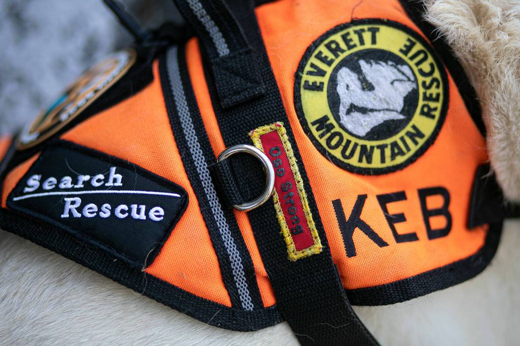 Keb wears her search-and-rescue harness, which features a patch from the 2014 Oso slide during which she served, on Wednesday, Aug. 17, 2022, at Meadowdale High School in Lynnwood. (Ryan Berry / The Herald)