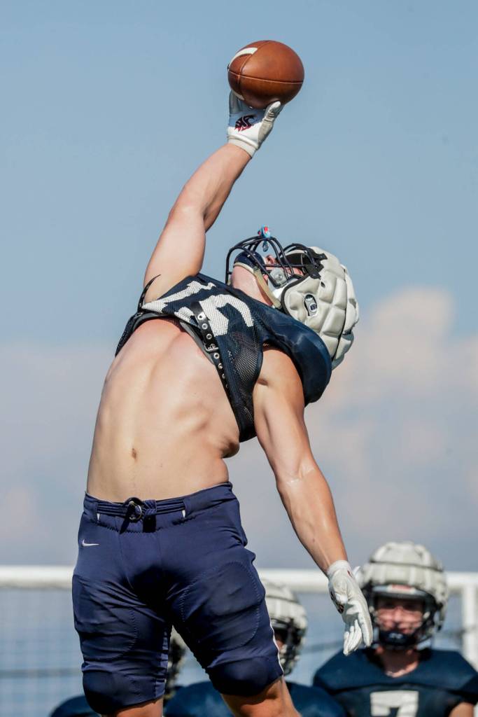 Glacier Peaks Trey Leckner jumps for a reception during practice Thursday afternoon at Glacier Peak High School in Snohomish. (Kevin Clark / The Herald)