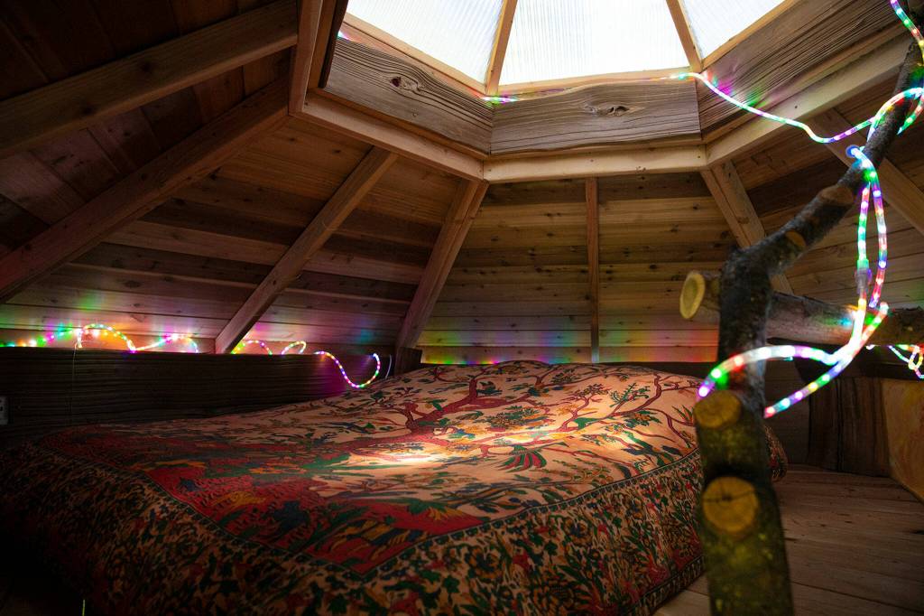 Forest-softened light shines into a treehouse room. (Ryan Berry / The Herald)