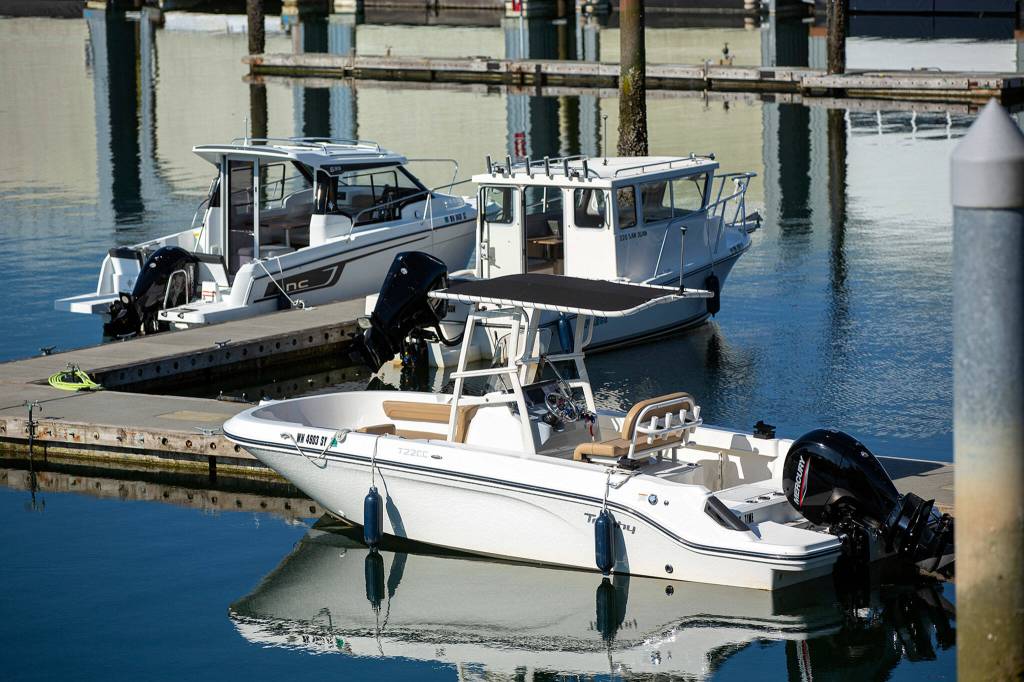 Three of the Freedom Boat Clubs vessels are moored on Aug. 11, at the Port of Everett in Everett. (Ryan Berry / The Herald)