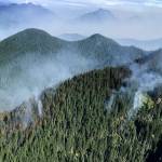 The Suiattle River Fire east of Darrington. (Mt. Baker-Snoqualmie National Forest - US Forest Service)