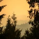 Smoke shrouds the hilltops as the Bolt Creek Fire burns through thick forest on Saturday, Sep. 10, 2022, on U.S. Highway 2 near Index, Washington. Areas around the fire had little to no visibility for firefighting crews to work with. (Ryan Berry / The Herald)