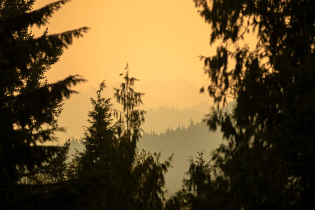 Smoke shrouds the hilltops as the Bolt Creek Fire burns through thick forest on Saturday, Sep. 10, 2022, on U.S. Highway 2 near Index, Washington. Areas around the fire had little to no visibility for firefighting crews to work with. (Ryan Berry / The Herald)