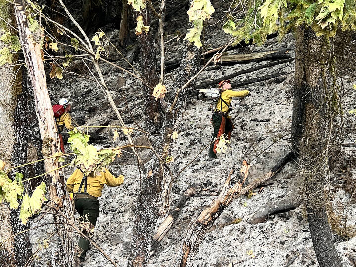 Firefighters climbed uphill to cut down trees and prevent them from falling onto the roadway near the Money Creek Campground northwest of Skykomish on Monday. (Peter Mongillo / Snohomish Regional Fire and Rescue)