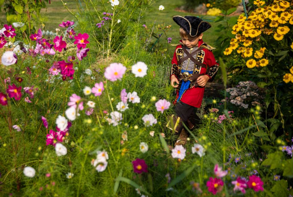 Mitchell Turnbull walks through cosmos. (Olivia Vanni / The Herald)