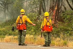 Authorities on Sunday continued to fight the Bolt Creek wildfire near U.S. 2. (Peter Mongillo / Snohomish County Regional Fire and Rescue)