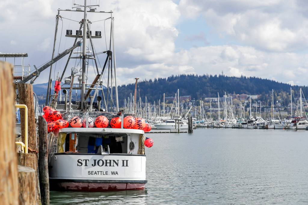 The St. John II sits low in the waters of Bellingham Bay while being unloaded on April 15. (Kevin Clark / The Herald)