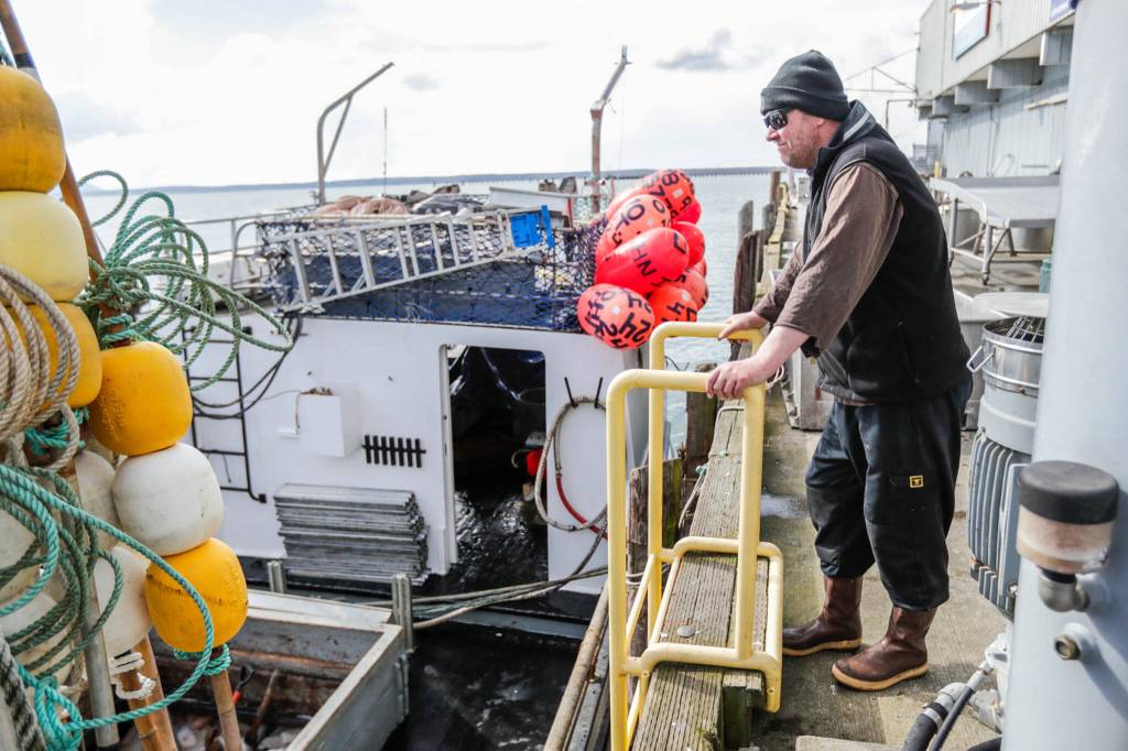 Gary Olsen stands at the dock of Home Port Seafoods as his boat, the St. John II, is unloaded April 15 in Bellingham. (Kevin Clark / The Herald)