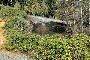 Firefighters responded to a bush fire on Monday spanning a number of acres northeast of the Galaxy Theatres and west of Chain Link Road in Monroe. (Snohomish Regional Fire & Rescue)