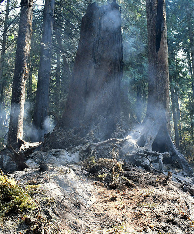 Scene on Tuesday along U.S. 2 (Snohomish County DEM)