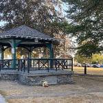 A woman was injured in an attack Sunday at Clark Park in Everett. (Everett Police Department)
