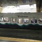 A Sound Transit train arrives at Westlake Station in downtown Seattle in May 2019. (Sue Misao / Herald file)
