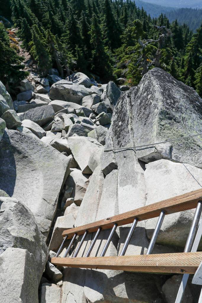 A ladder is the final leg of the hike to the Mt. Pilchuck Lookout. (Kevin Clark / The Herald)
